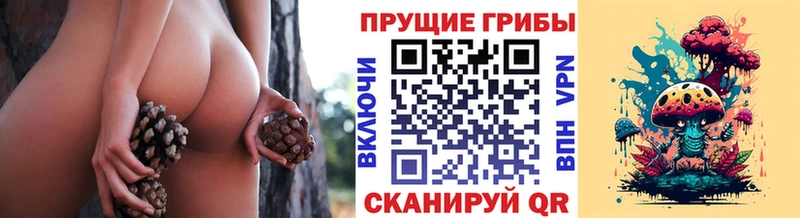 Псилоцибиновые грибы Cubensis  Купить где  Бугульма 